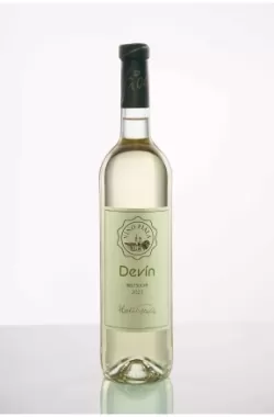Devín 2023