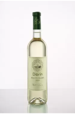 Devín 2025